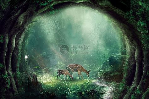 森林深处图片素材-正版创意图片400752625-摄图网