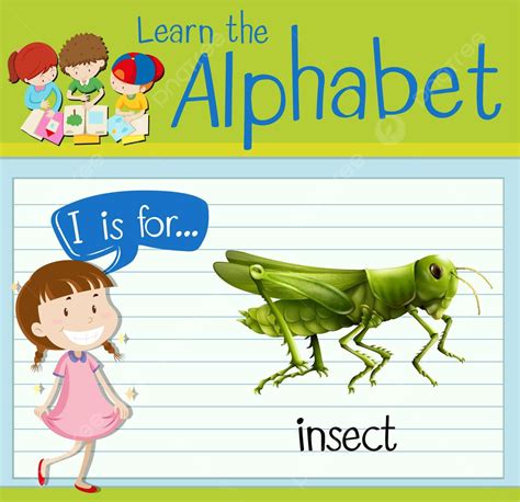 Flashcard Letter I Is For Insect White Insect Clip Art Vector, White ...