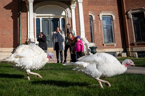 When is Thanksgiving 2025? A brief look at the holiday's history