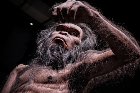 Extinction Of Homo Erectus