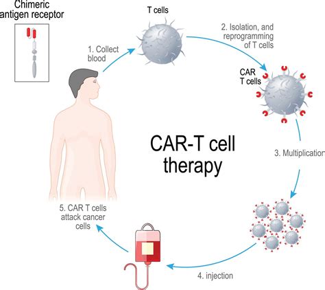 Ethical and Biosafety Oversight of New CAR T-Cell Products