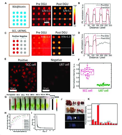 Microarray Test 的图像结果