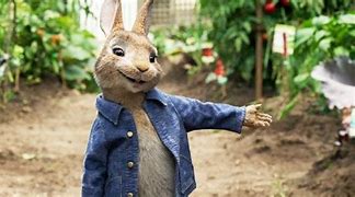 Image result for Peter Rabbit Movie DVD