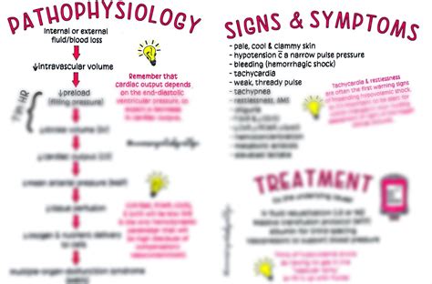 Shock Pathophysiology 的图像结果
