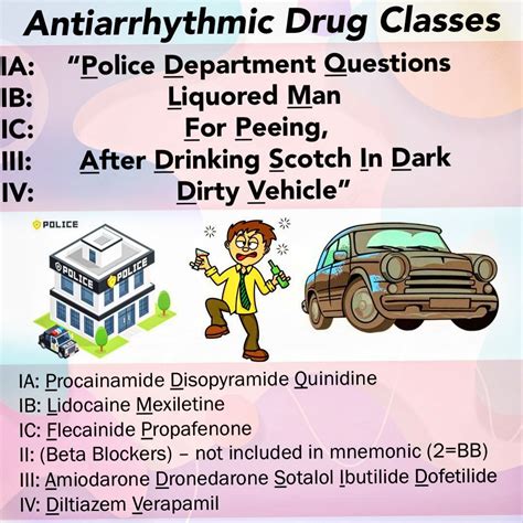 Antiarrhythmic Drug Classification - Visual Mnemonic.