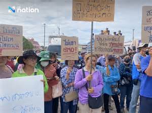 Phetchabun corn farmers rally to demand compensation over US corn imports