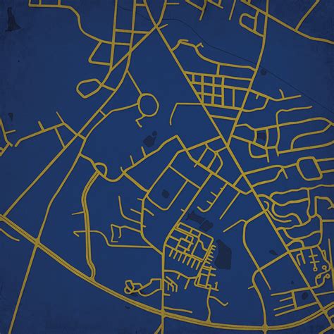 Georgia Southern University Campus Map Art - City Prints