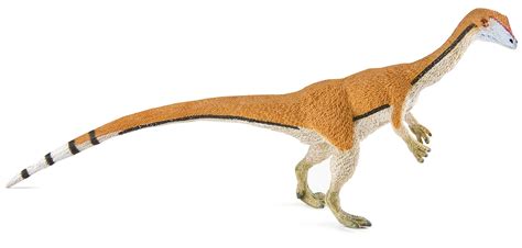 Buy Safari Ltd. Coelophysis - Realistic Hand Painted Toy Figurine Model ...