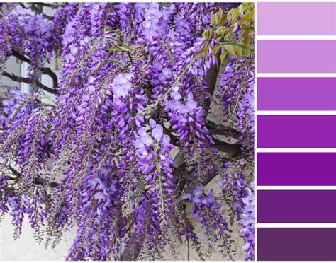 Visual Arts Graphics 的图像结果