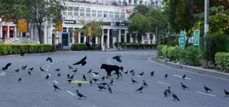 Delhi Breathes Cleanest Air In 5 Years Due To Lockdown & Sitting At ...