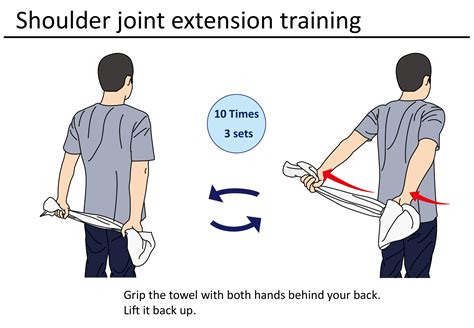 Shoulder Internal External Rotation Movement | Physio Visuals ...