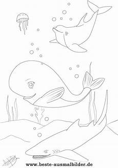 malvorlagen fische jung die besten 25 ausmalbilder fische ideen auf malvorlagen fische jung die besten 25 ausmalbilder fische ideen auf