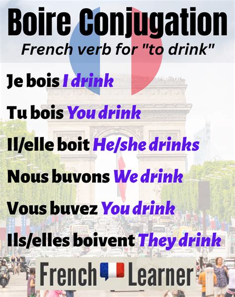 Conjugate "Boire" in French: All Forms & Meanings Explained