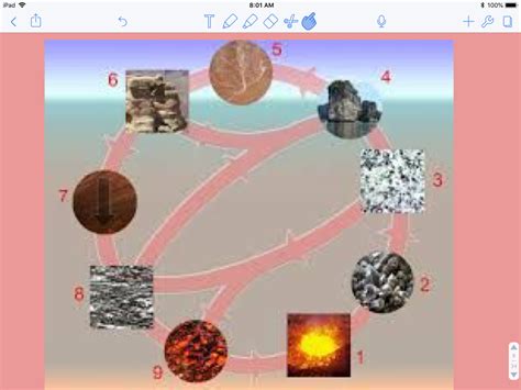 Science Cycle 的图像结果