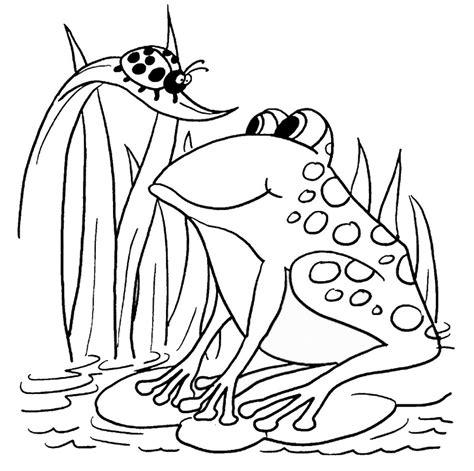 Free Coloring Pages Of Frogs