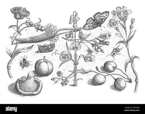 Print from a series of 48 prints, divided into four separate parts of ...