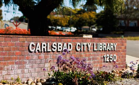 Carlsbad City Library eliminates fines for overdue items | KPBS Public ...