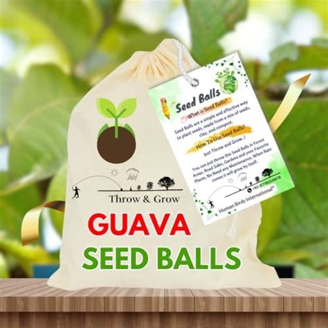 Human Birds International® 50 Pcs Seed Bombs, Seed Balls, Gift, Just ...