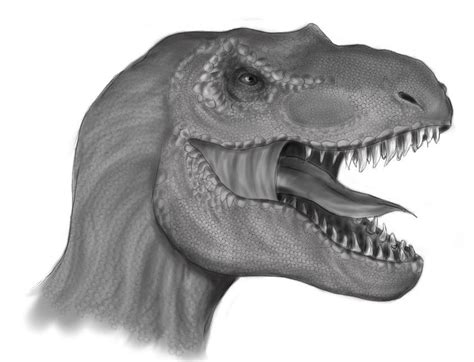 simple drawings of dinosaurs