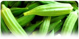 National Horticulture Board