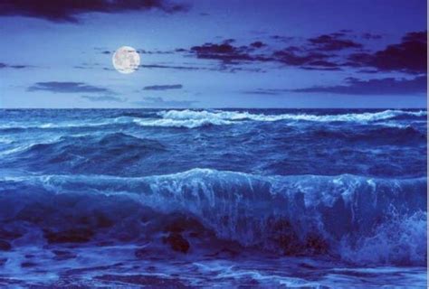 梦见海水涨潮是什么意思，海洋为什么会涨潮和退潮_可可情感网