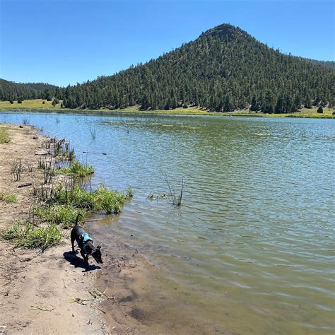 QUEMADO LAKE (2026) All You Should Know BEFORE You Go (w/ Reviews)