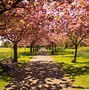 Image result for Spring Nature Photography Desktop Wallpaper