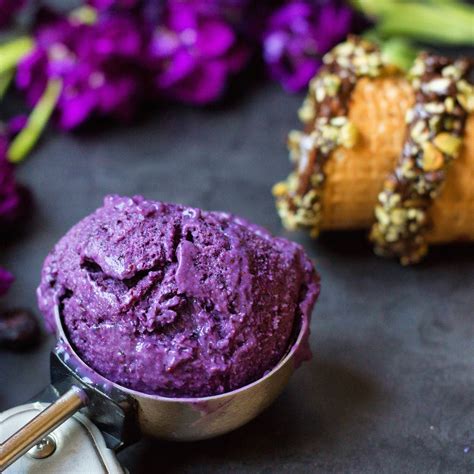 Blueberry & Acai Ice Cream By Sweetened With Dates – Organic Burst