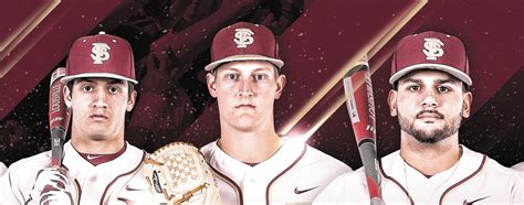 2015 Florida State Baseball on Behance