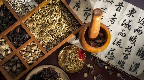 Traditional Chinese Medicine Experience | Cultural Experience in China | Gopagoda Travel