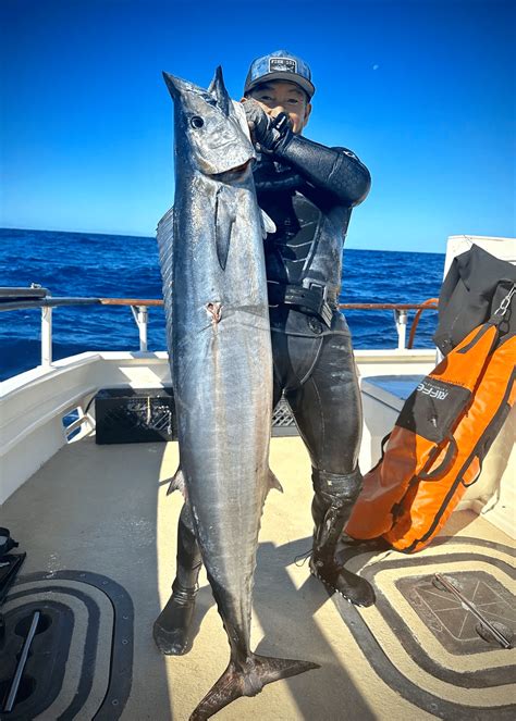 Recipe: Wahoo / Ono Au Poivre | BDOutdoors