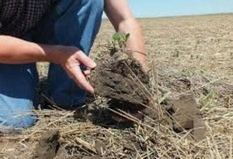 write the different method of soil conservation briefly - Brainly.in