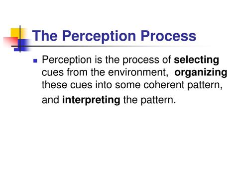 Perception Process Steps Image 的图像结果
