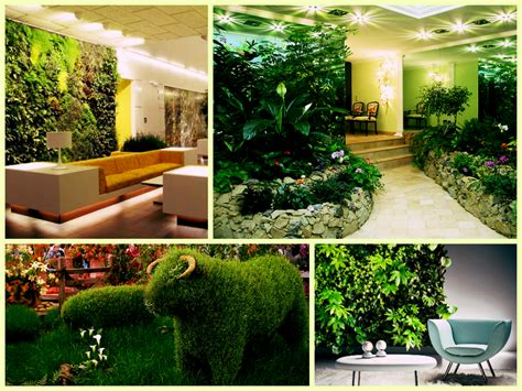 Флористика и фитодизайн интерьера - 86 фото
