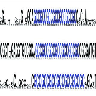 WebLogo 的图像结果