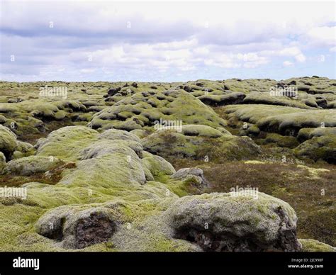Eldhraun lava field moss covered lava hi-res stock photography and ...