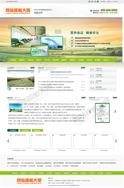 绿色企业网站模版 - PC模板 - 网站模板大师-网站模板制作_网页模板开发