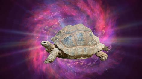 Tortoise engraving suggests Middle Eastern religion from 37,000 years ...