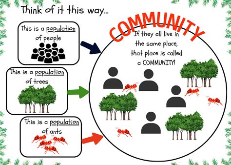 Ecosystem And Difference Between Population And Community Ecological