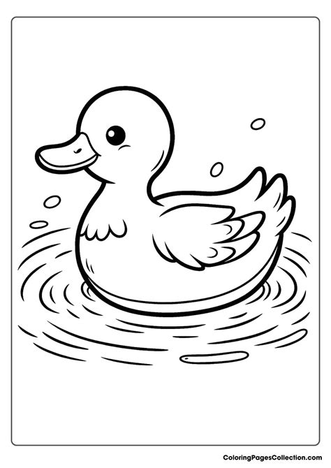 Duck Coloring Pages - 100% Free Printable