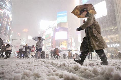 大雪：東日本に白い嵐 東京都心2年ぶりの積雪 [写真特集11/15] | 毎日新聞