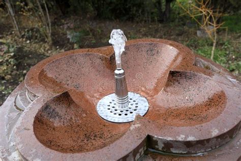 Image result for How to Find a Spring Water Source