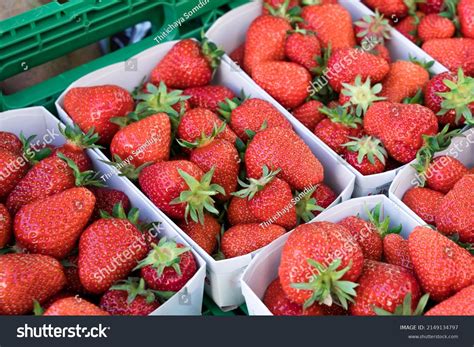 Image result for Conditional Probability Formula Using Inequalities
