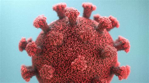 What is RSV? Symptoms list, how to track, CDC updates for respiratory syncytial virus - Fast Company