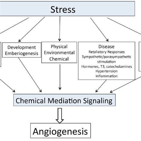 Biological Stress Examples 的图像结果