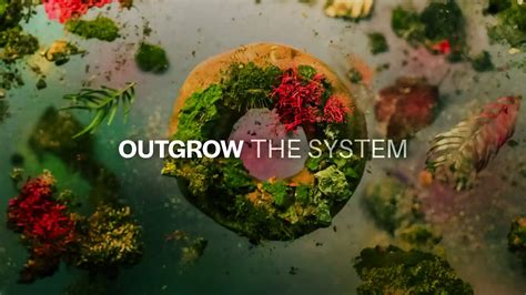 Watch OUTGROW THE SYSTEM Full Movie Online in HD for Free | Airtel ...