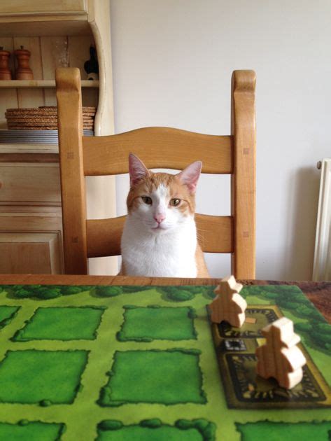 Sequence Cats | Board Game | BoardGameGeek