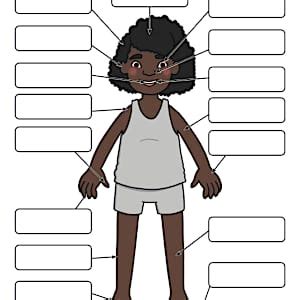 Human Body Parts Activity - Anatomy Labelling Worksheets