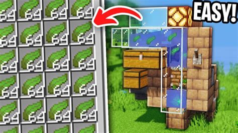 Image result for Auto Kelp Block Farm Java 1 21 5