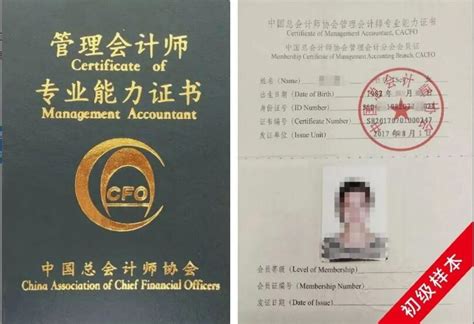 竖版A4金色单面内页荣誉证书图片下载_红动中国